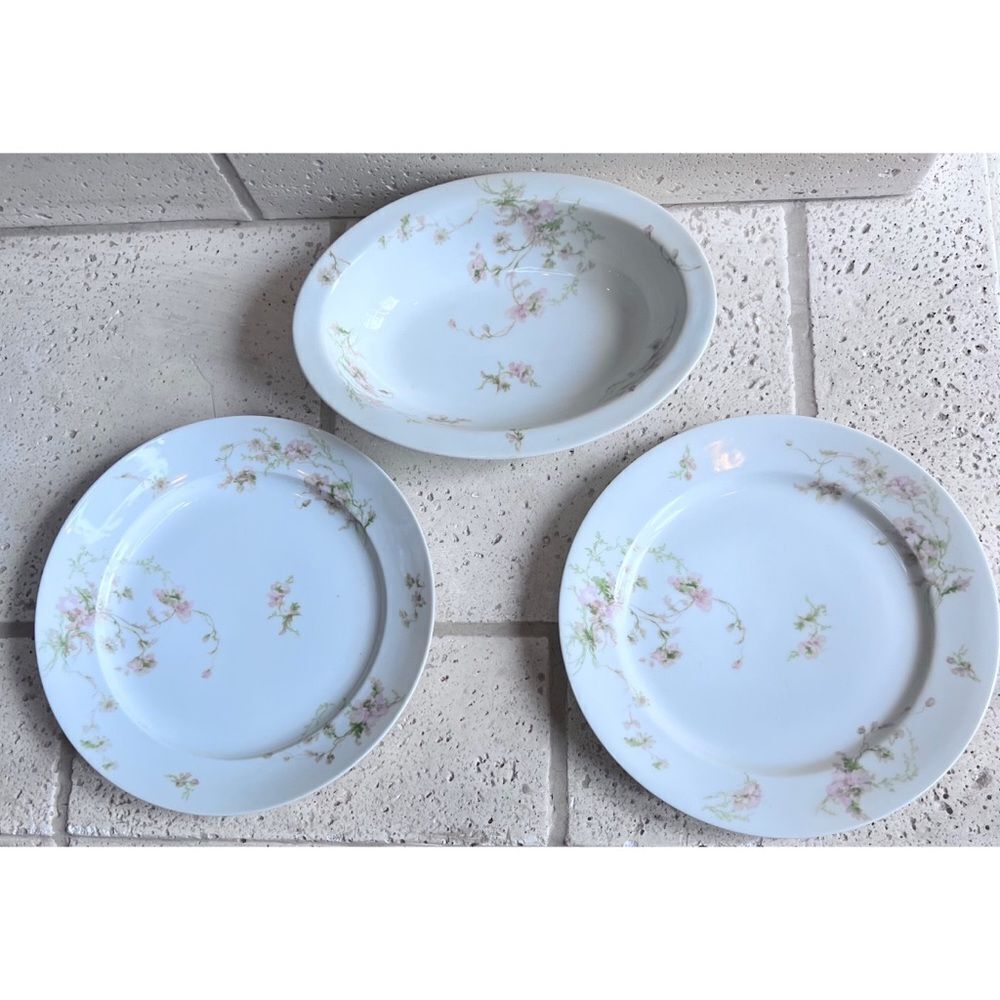 Vintage GDA CH Field Haviland Limoges France Floral Dinner Plates & Serving Dish